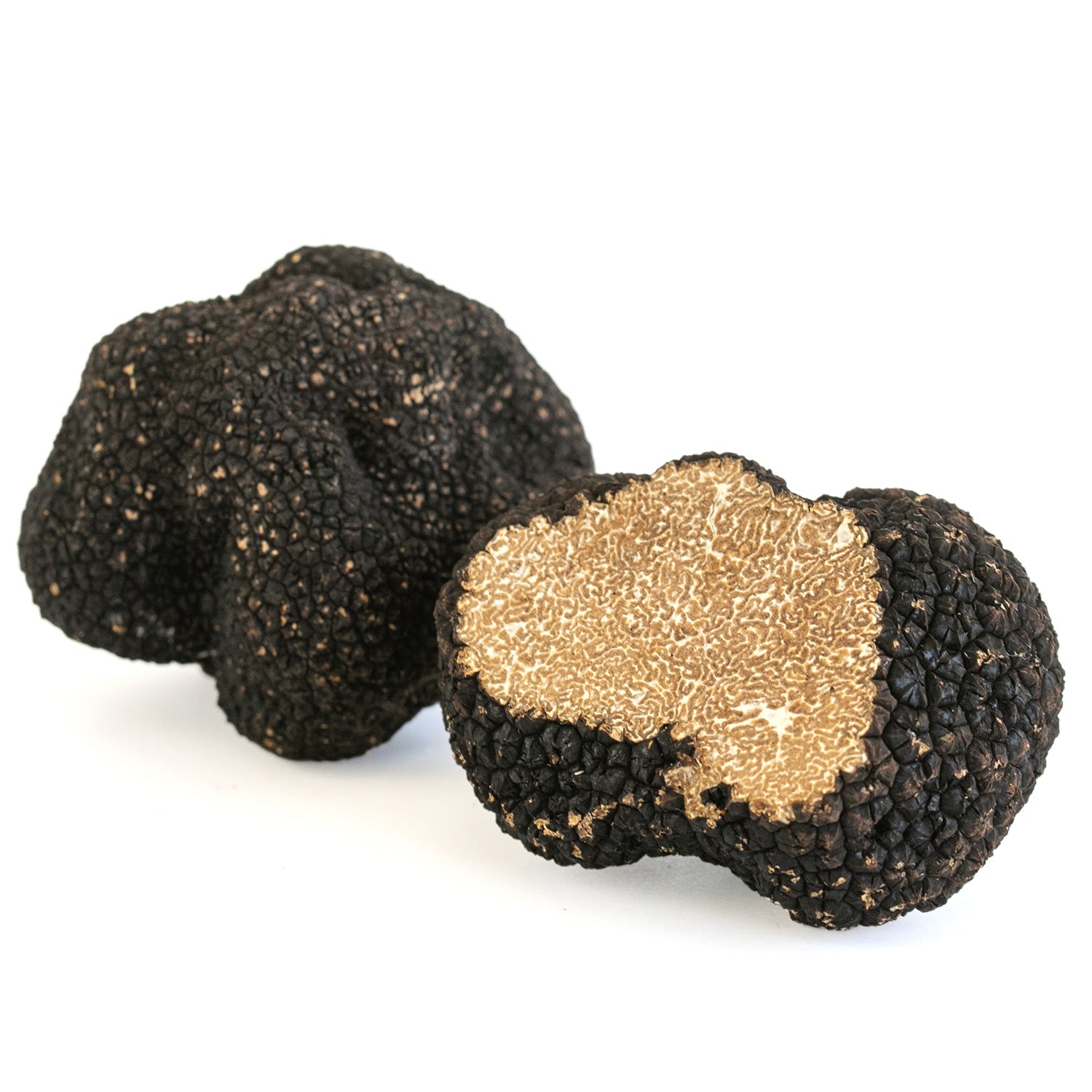 Fresh Tuber Uncinatum - Autumn Truffle - TRUFFLE STORE ...