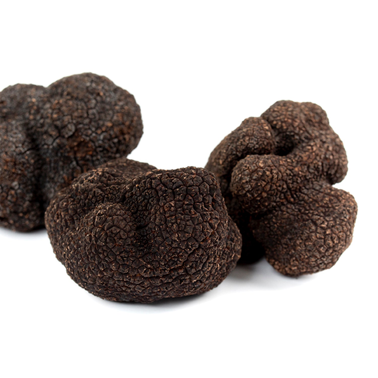 Fresh Black Truffle - Tuber Melanosporum