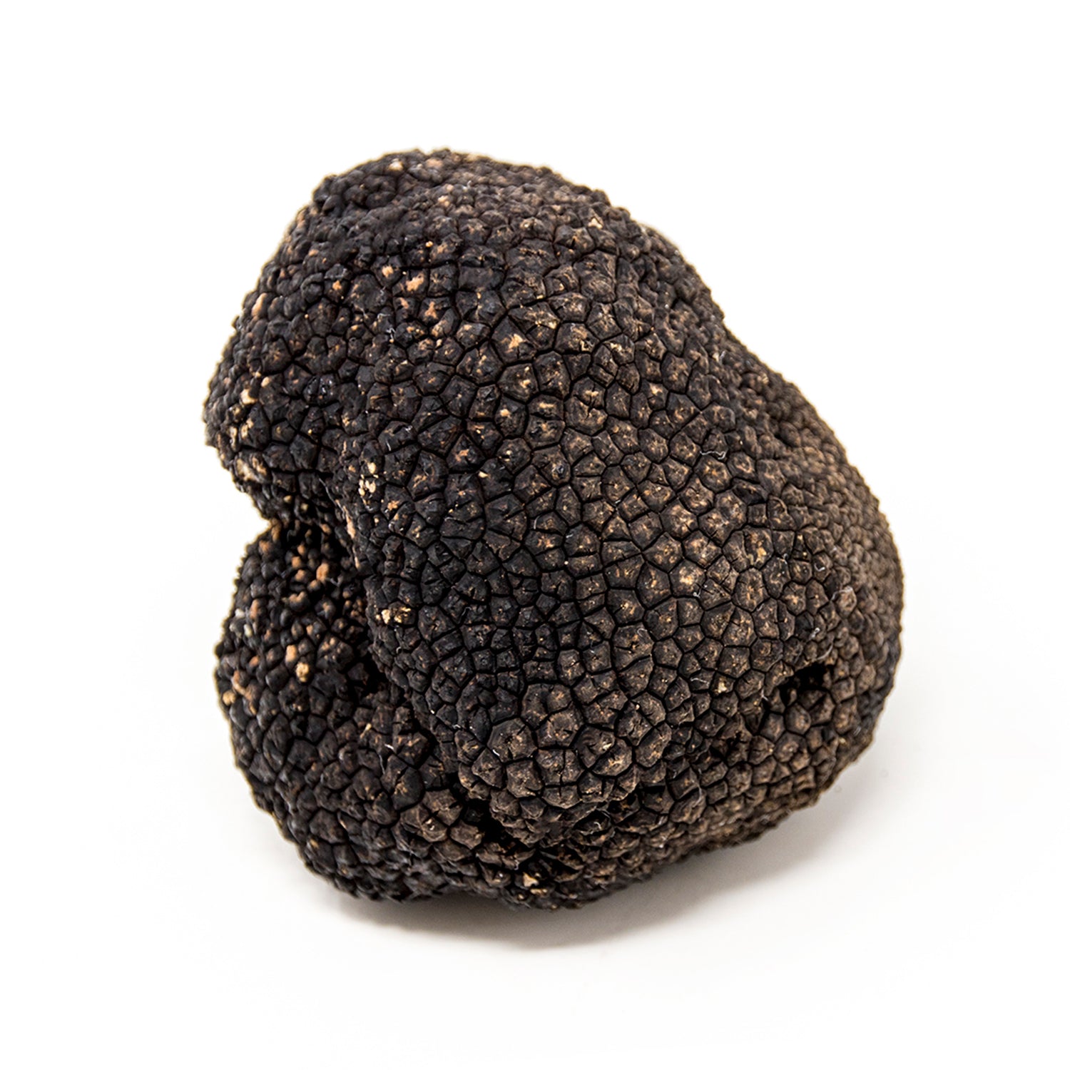 Fresh Summer Truffle - Tuber Aestivum