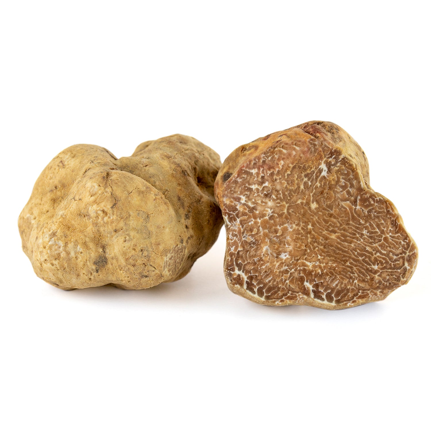 Fresh White Truffle - Tuber Magnatum